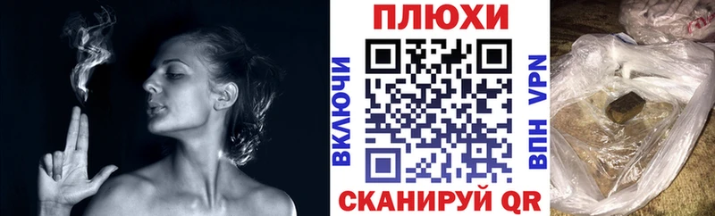 закладка Чайковский ГАШ Ice-O-Lator