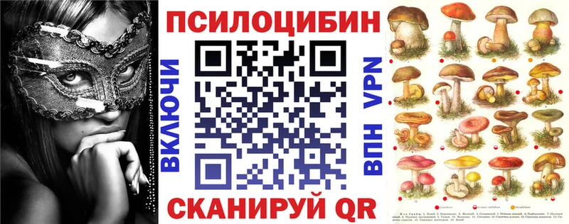 Галлюциногенные грибы Psilocybe  Чайковский 